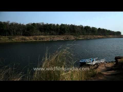 Boat safari on river Ken at Panna National Park