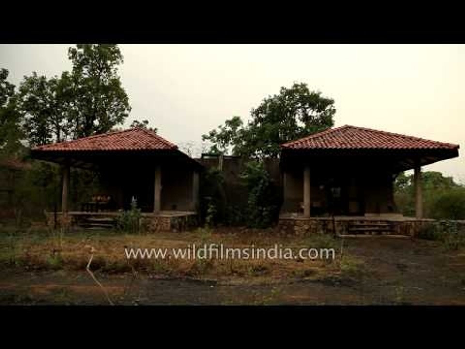 Single-room cottages at King's Lodge, Madhya Pradesh