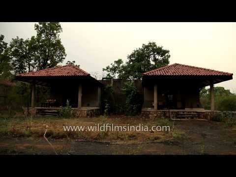 Single-room cottages at King's Lodge, Madhya Pradesh