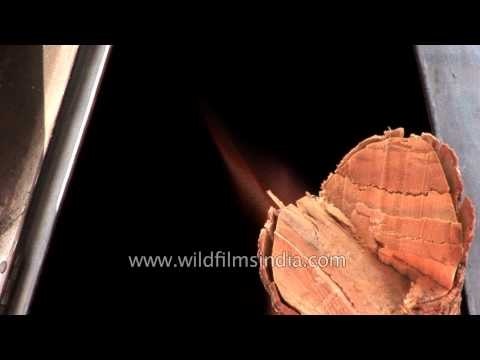 Roadside vendor selling cookies made in traditional coal fired oven