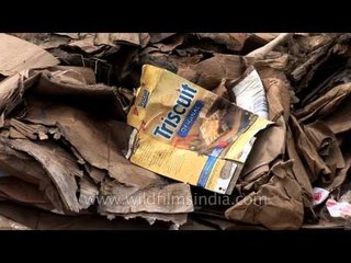 Triscuit packages and diapers alike come to India from Europe, for recycling!