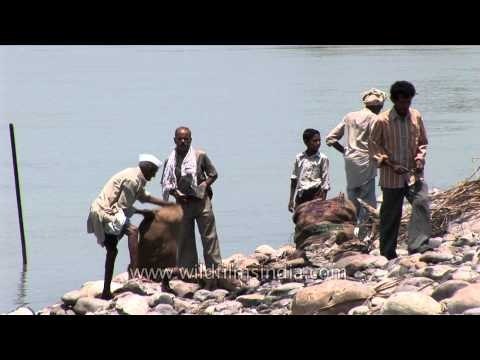 Rituals before cremating a dead body - Haridwar