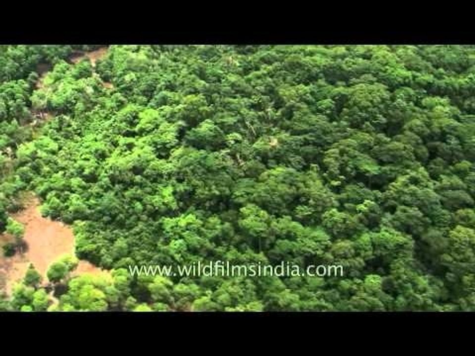 Andamans from air