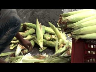 Roasting corn or bhutta, Indian style
