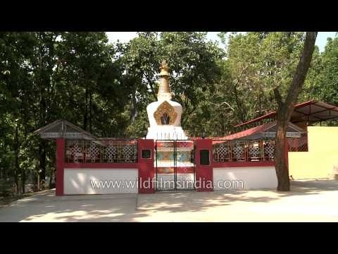 Mantra-Taming stupa at Tsering Dhonden Tibetan colony