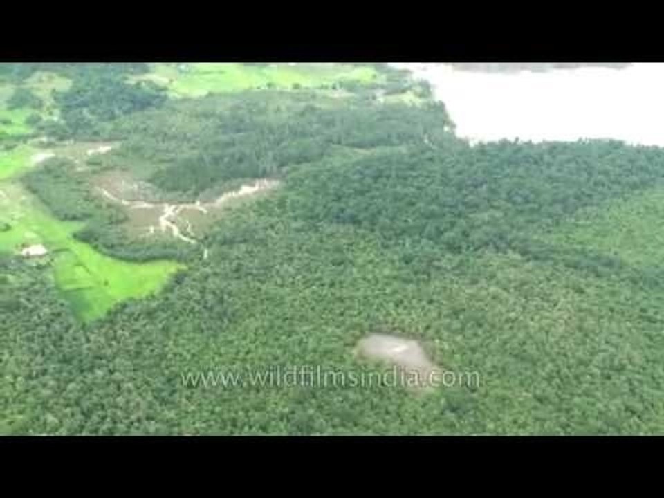 Aerial view of rain forests of the Andaman Islands