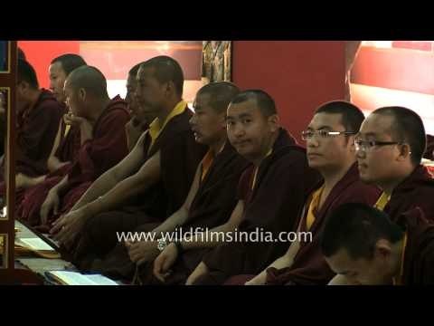 Buddhist monks worship Lord Buddha in Padmasambhava shrine