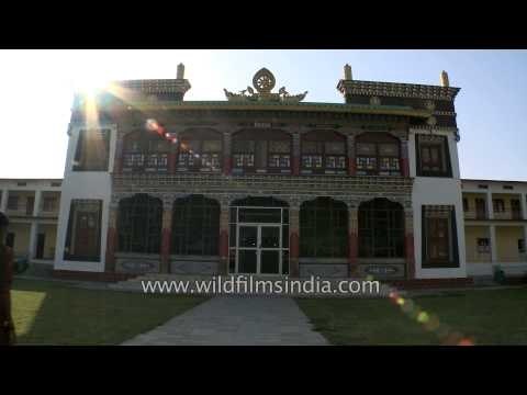 Og Min Ogyen Mindroling Monastery at Dehradun, India