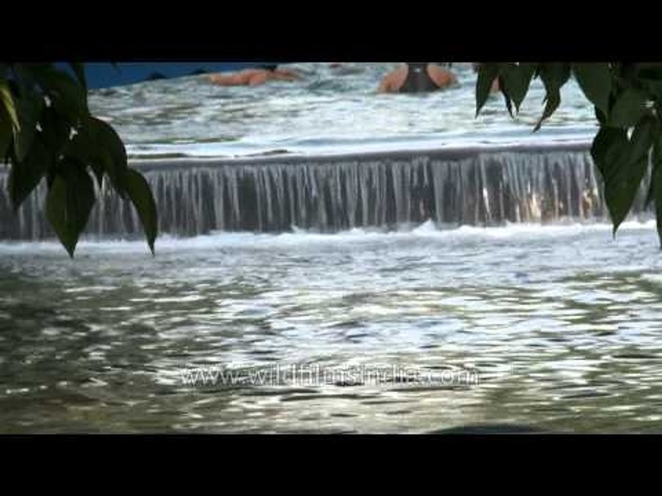 Lacchiwala - popular picnic spot in Dehradun