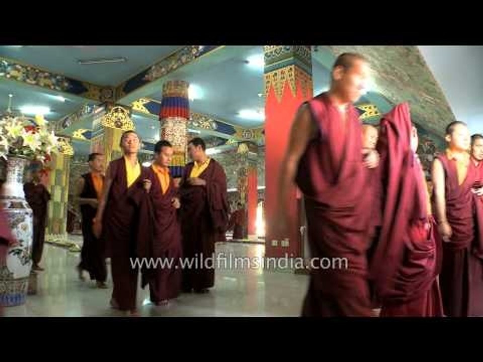 Monks of Mindrolling Monastery, Clement Town