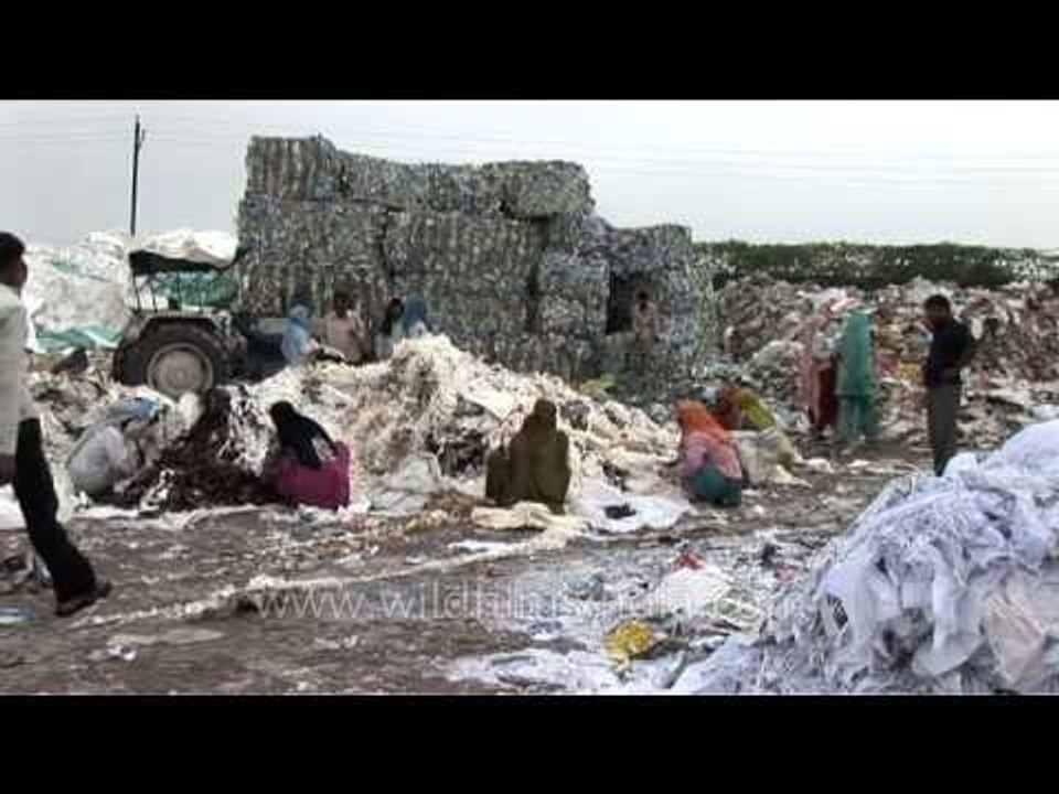 Workers shuffle paper for recycling  in Mawana