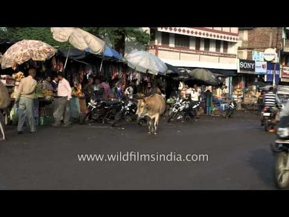 Roadside vendors in Lohaghat - Champawat, Uttarakhand