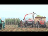 Forage harvester : Advanced mechanised method of harvesting crops
