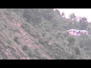 Tiny cottage on the hills of Bhagsunath as seen from the Great Himalayan resort
