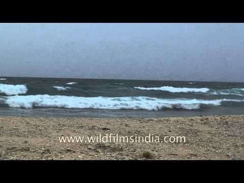 Visitors walking on the beach of Andaman & Nicobar Islands