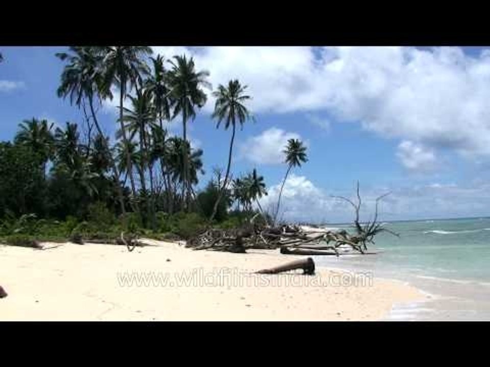 Exploring the Andaman and Nicobar Islands