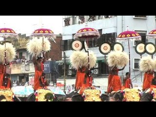 Variety of umbrellas on top of elephants at Pooram festival