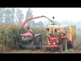 This is how forage harvester works