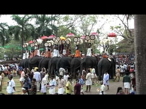 Thrissur Pooram festival draws foreign tourists to India