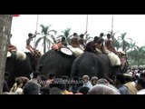 Crowd throng to witness Thrissur Pooram festival, Kerala