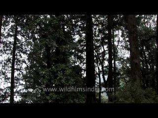 Girls collecting water from a roadside tube well