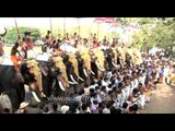 Festival beats: Chenda melam and kombu at Thrissur Pooram