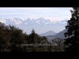 Himachal peaks as viewed from Deoban peak near Chakrata