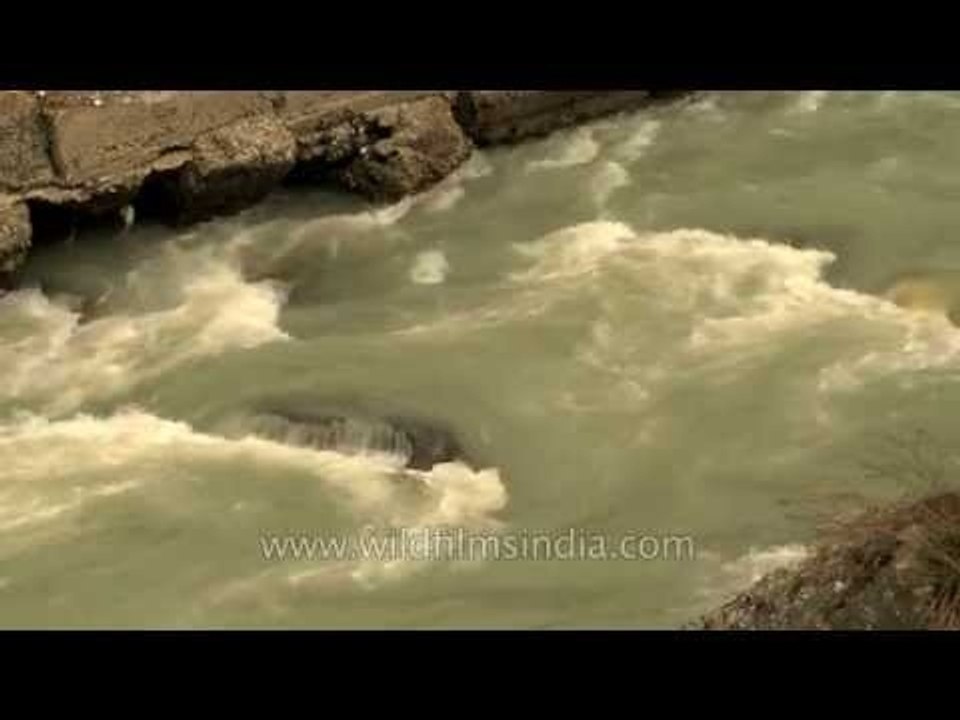 Alaknanda Ganga rushes down from Badrinath valley