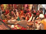Devotees take part in Havan - Nanda Devi Mahotsav