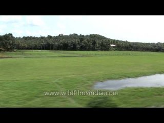 Kerala landscape as seen from a train