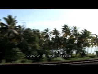 Train passing through a station on the way to Kerala