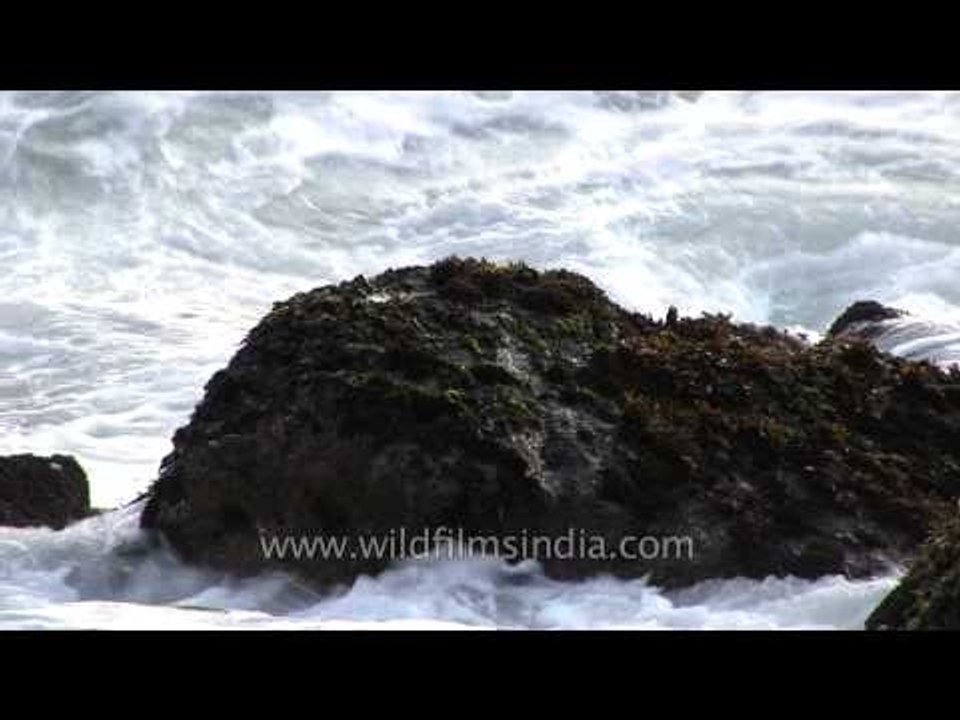Foamy waves hitting the rocks