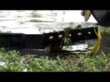 Dragging the Chundan Vallam - Alleppey, Kerala