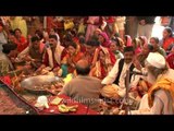 Devotees performing Havan during Nanda Devi Mahotsav