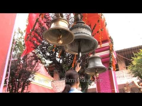 Hindu devotees ringing temple bells in Nainital