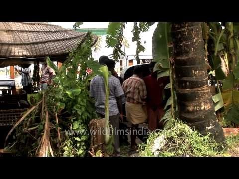 Houseboat cruise : the best way to explore the backwaters of Kerala