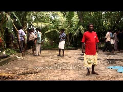 Keralites gather to witness Nehru Trophy Boat Race, Alleppey