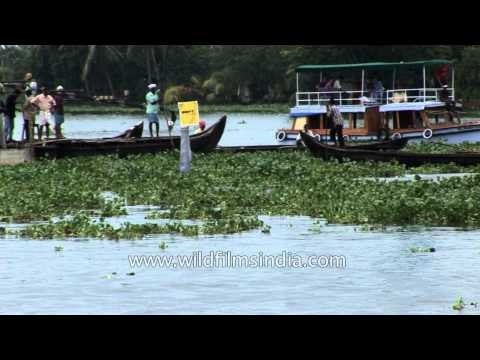 Nehru Trophy Snake Boat Race in Alleppey, Kerala