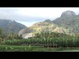 Backwaters and houseboats of Alleppey, with high mountains!