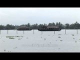 Houseboats cruising the backwaters of Kerala