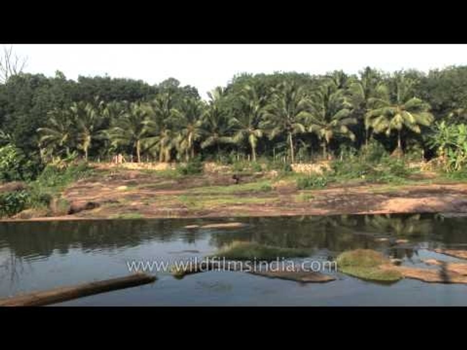 Landscape view of Thiruvalluvar Temple Area - Chennai