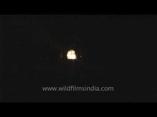 Kovalam lighthouses illuminating the dark - Kerala