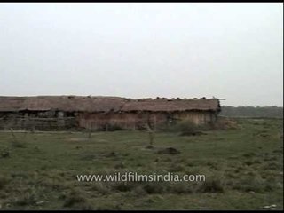 Panoramic view of Kaziranga National Park