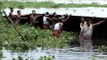 Trying to put upright a snake boat in the backwaters of Kerala