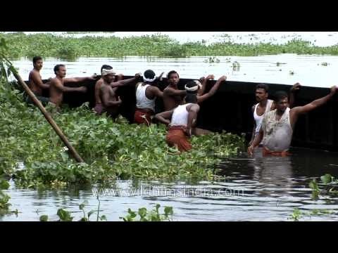 Trying to put upright a snake boat in the backwaters of Kerala
