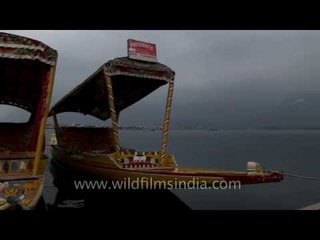Colourful Kashmiri shikaras by the banks of Dal Lake