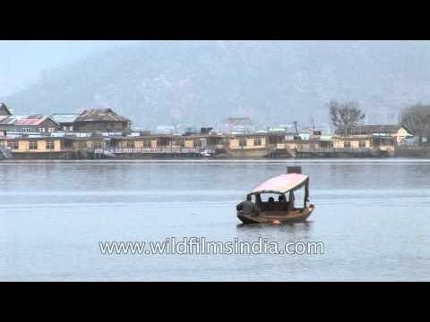 Heavenly Shikara ride at Dal lake - Srinagar, Kashmir