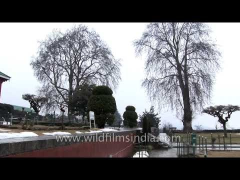 Chashme Shahi: the underwater spring of Srinagar, Kashmir
