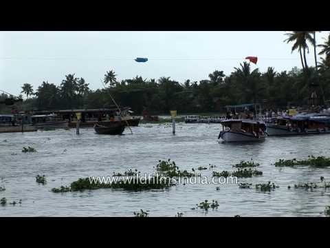 Participants compete in the Kerala Boat Race