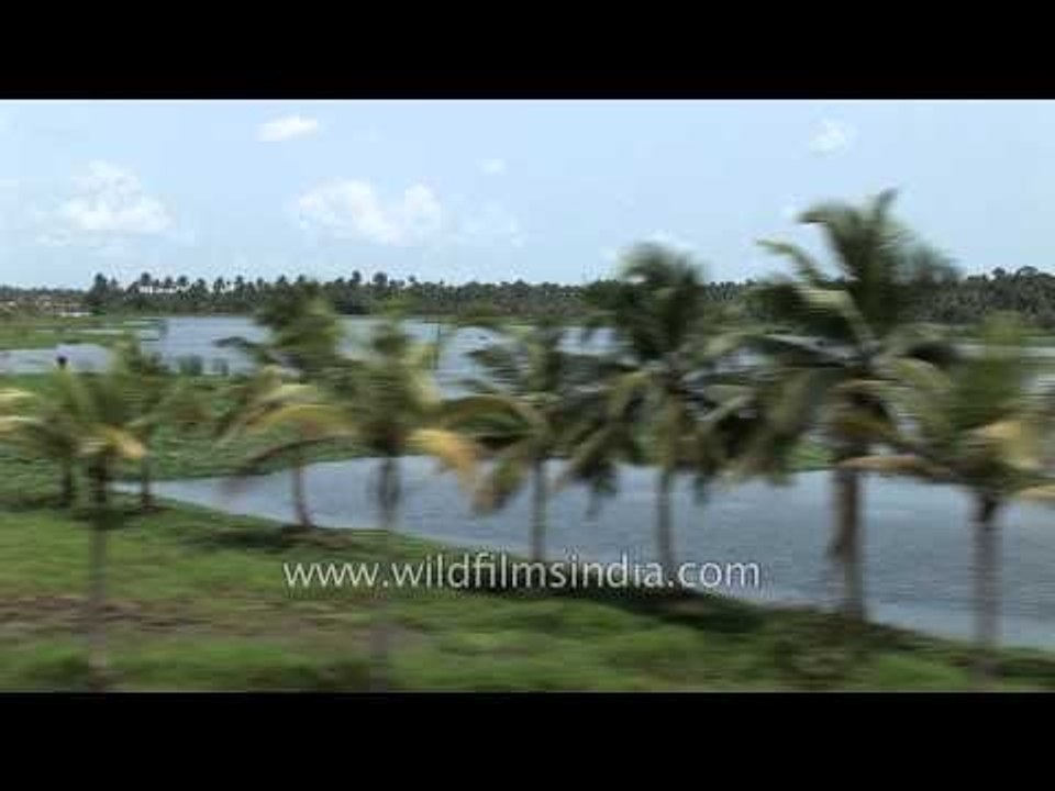 Breathtaking journey to Kerala